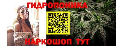 мяу мяу мука Бузулук